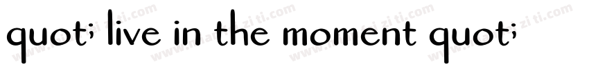 quot; live in the moment quot;字体转换